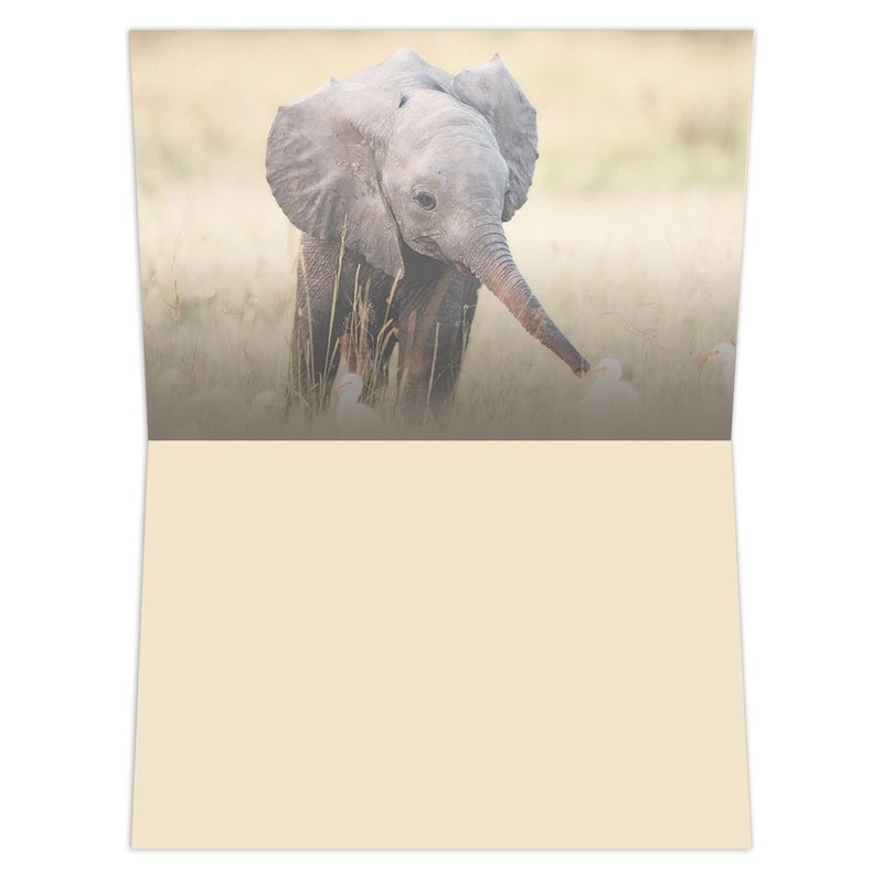 Tree-Free Greetings EcoNotes 12 Count Baby Elephant All Occasion Notecard Set with Envelopes, 4 x 6 Inches (FS66955) - Image 2